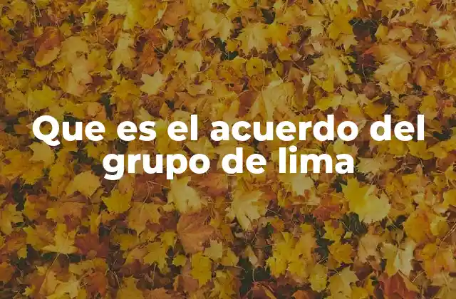 Un esfuerzo regional por la democracia