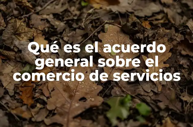 Qué es el Acuerdo General sobre el Comercio de Servicios
