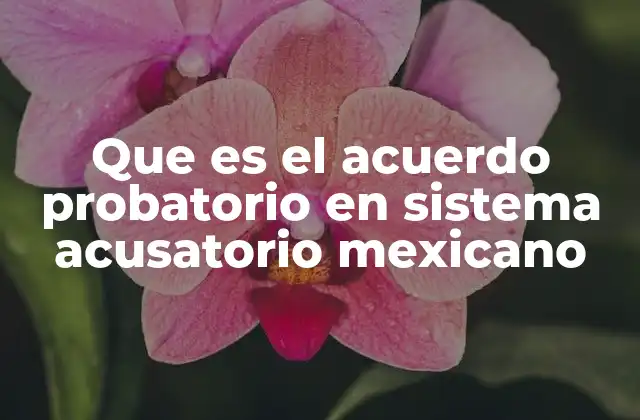Que es el Acuerdo Probatorio en Sistema Acusatorio Mexicano