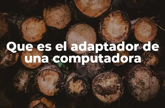 Que es el Adaptador de una Computadora