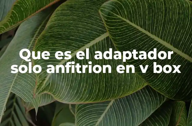 Que es el Adaptador Solo Anfitrion en V Box