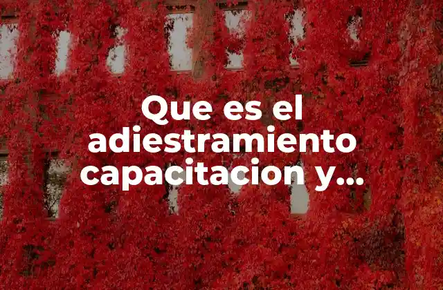 Que es el Adiestramiento Capacitacion y Desarrollo en Recursos Humanos