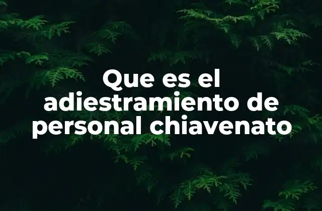 Que es el Adiestramiento de Personal Chiavenato 2 Cómo el adiestramiento Chiavenato transforma la cultura organizacional