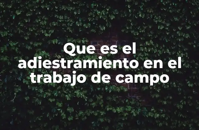 Que es el Adiestramiento en el Trabajo de Campo 2 Cómo el adiestramiento en el trabajo de campo complementa la formación académica