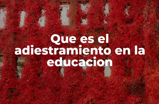 Que es el Adiestramiento en la Educacion