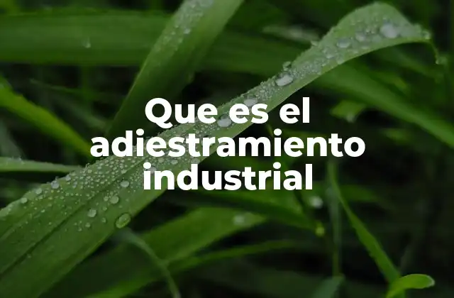 Que es el Adiestramiento Industrial 2 La importancia del adiestramiento en el desarrollo organizacional