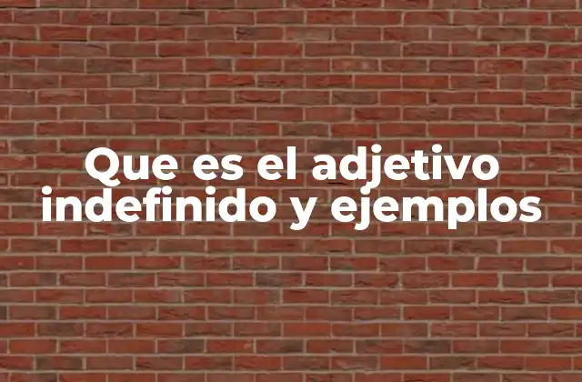 Que es el Adjetivo Indefinido y Ejemplos