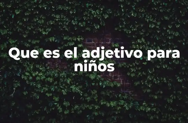 Que es el Adjetivo para Niños