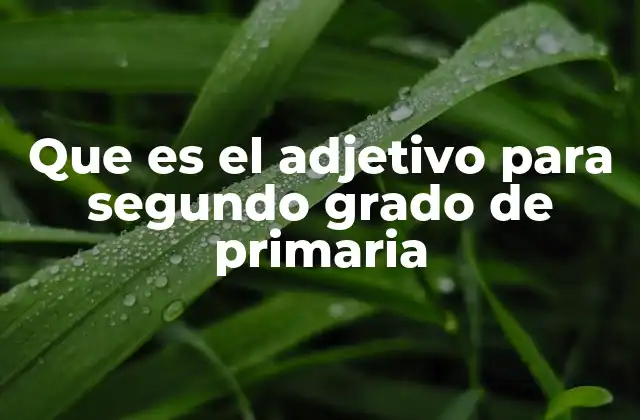 Que es el Adjetivo para Segundo Grado de Primaria