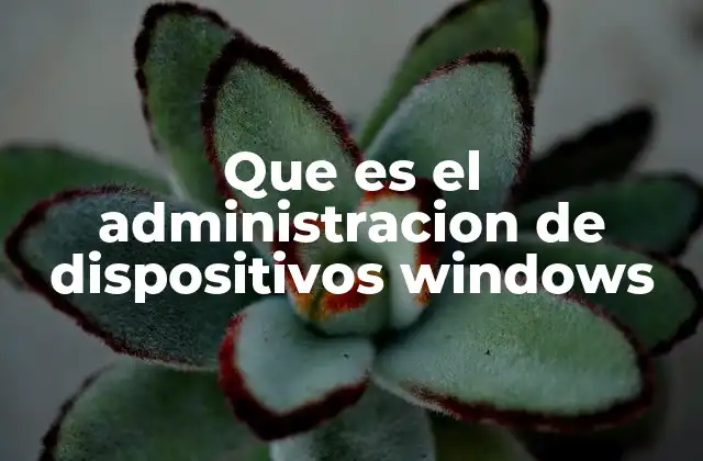 Que es el Administracion de Dispositivos Windows