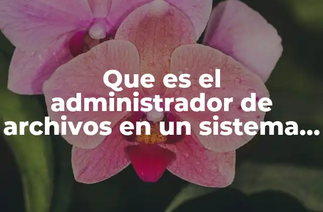 Cómo el administrador de archivos mejora la experiencia del usuario