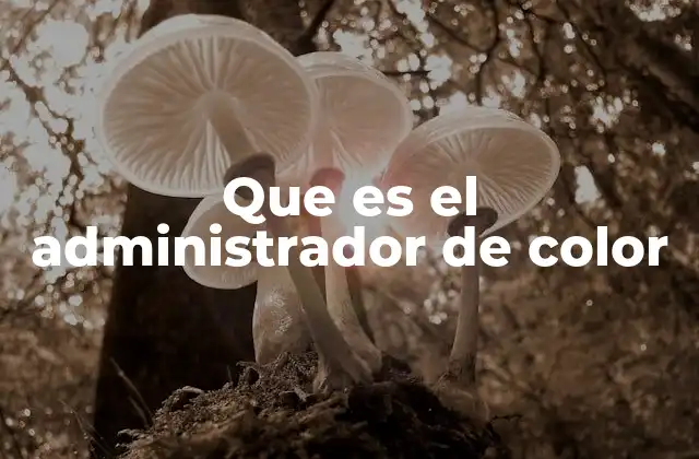 Que es el Administrador de Color