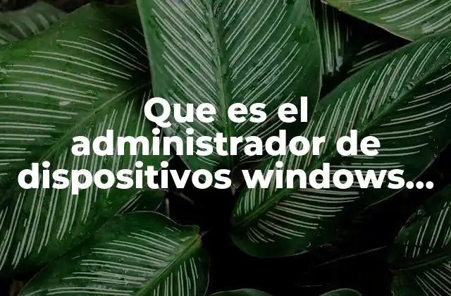 Que es el Administrador de Dispositivos Windows 7de una Computadora