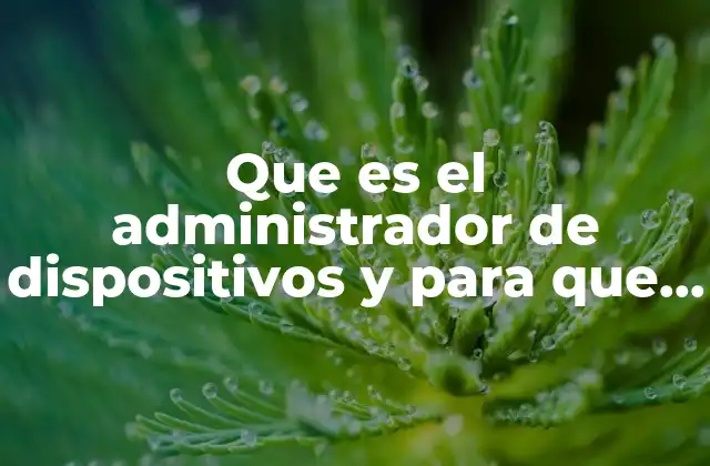 Que es el Administrador de Dispositivos y para que Sirve
