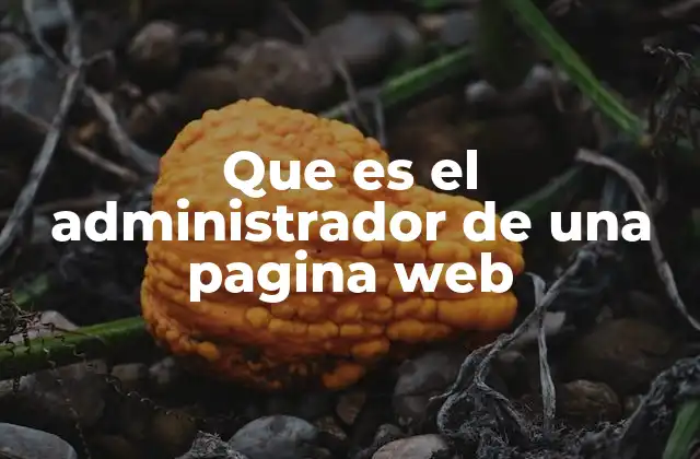 Que es el Administrador de una Pagina Web