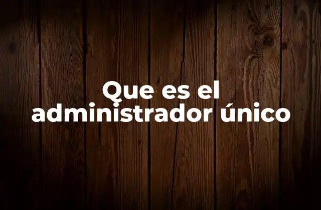 Que es el Administrador Único