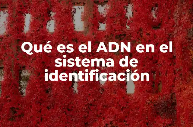 Cómo la genética molecular transforma los sistemas de identificación