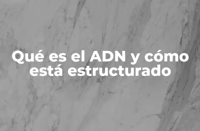La estructura química del ADN y sus componentes