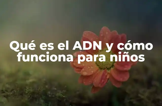 Qué es el Adn y Cómo Funciona para Niños 2 Cómo el ADN ayuda a que los niños crezcan y se desarrollen