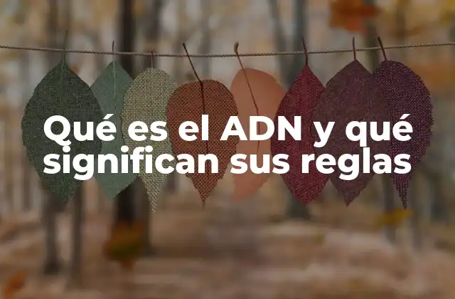 Qué es el Adn y Qué Significan Sus Reglas