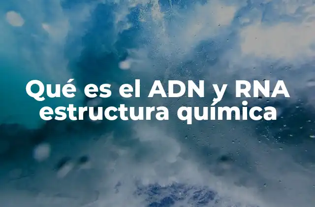 Qué es el Adn y Rna Estructura Química