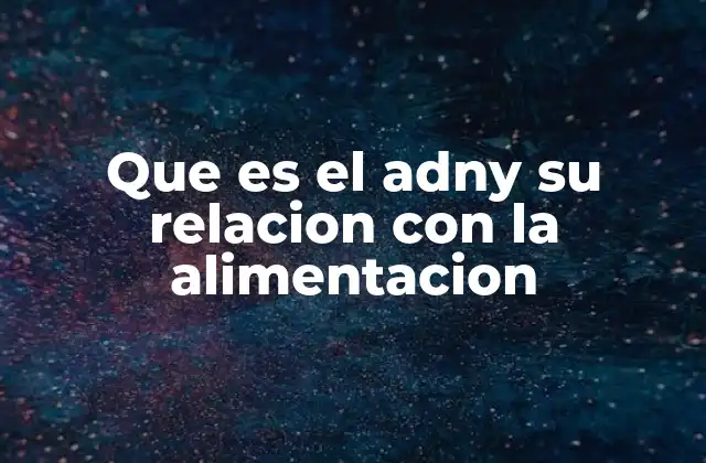 Que es el Adny Su Relacion con la Alimentacion 2 Cómo el ADN influye en cómo nuestro cuerpo procesa los alimentos