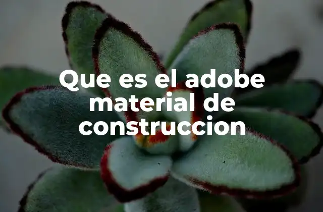 Que es el Adobe Material de Construccion