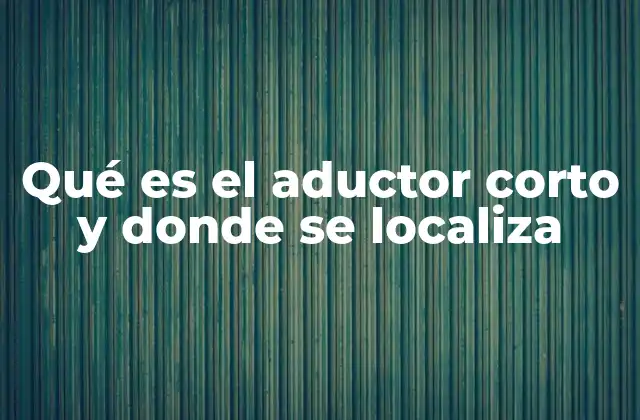 Qué es el Aductor Corto y Donde Se Localiza