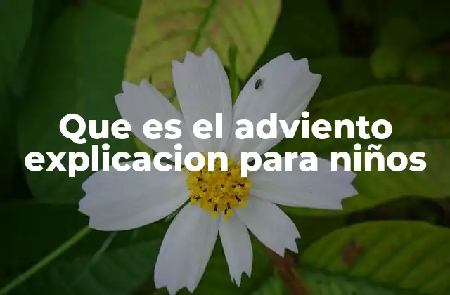 El Adviento como un camino de preparación navideña