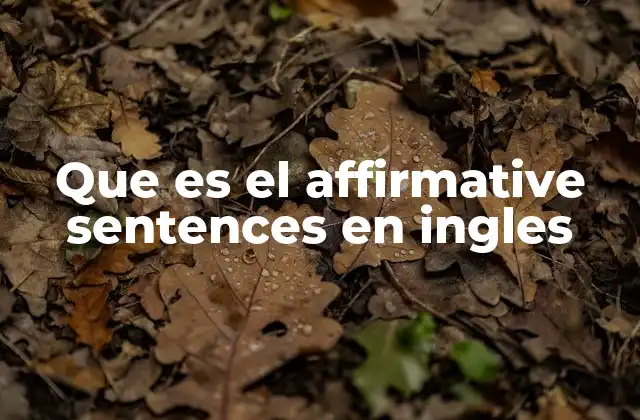 Que es el Affirmative Sentences en Ingles
