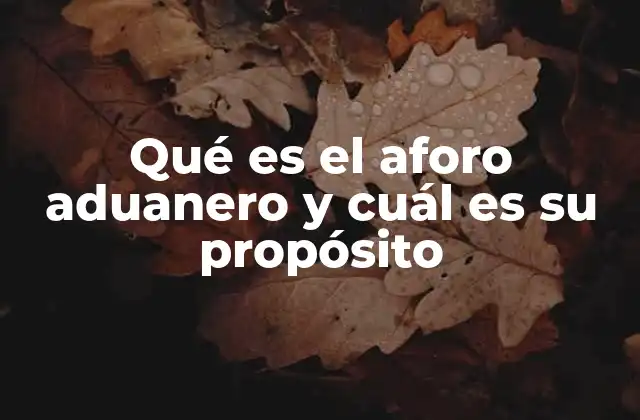 Qué es el Aforo Aduanero y Cuál es Su Propósito