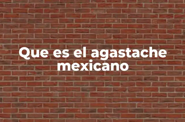 Que es el Agastache Mexicano