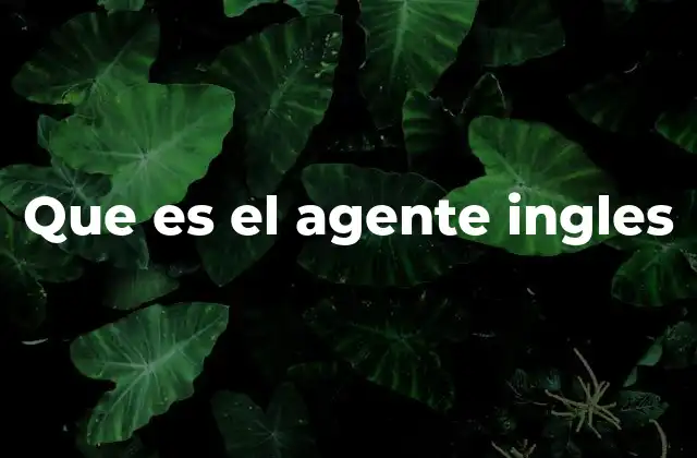Que es el Agente Ingles