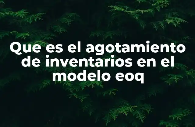 Que es el Agotamiento de Inventarios en el Modelo Eoq