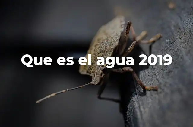 Que es el Agua 2019