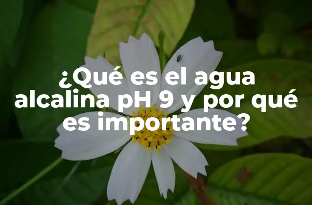 ¿qué es el Agua Alcalina Ph 9 y por Qué es Importante?
