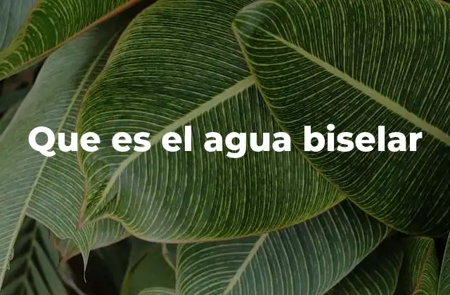 La importancia del agua biselar en el acabado de materiales