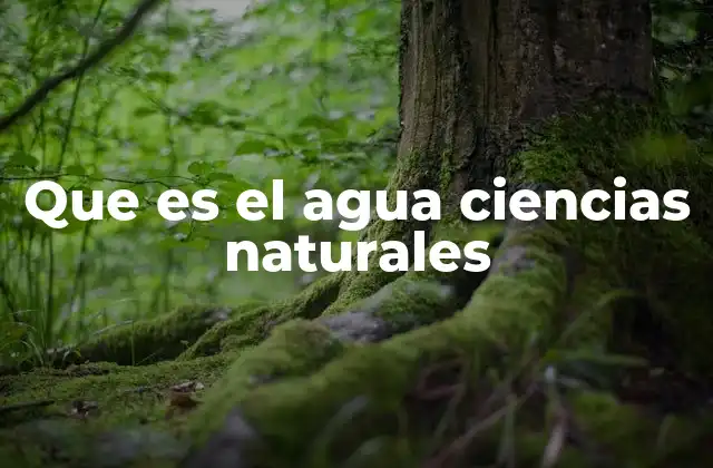 Que es el Agua Ciencias Naturales