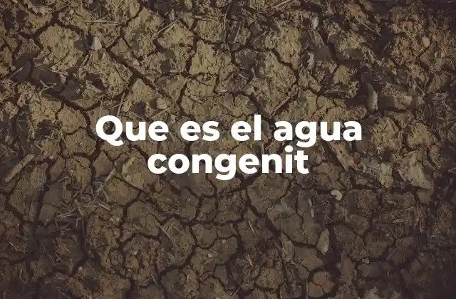 Que es el Agua Congenit