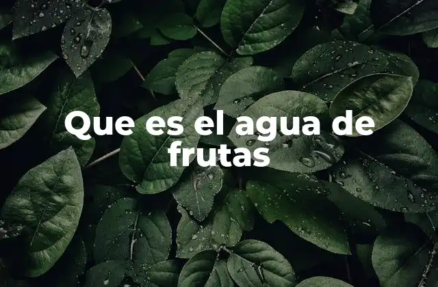Que es el Agua de Frutas