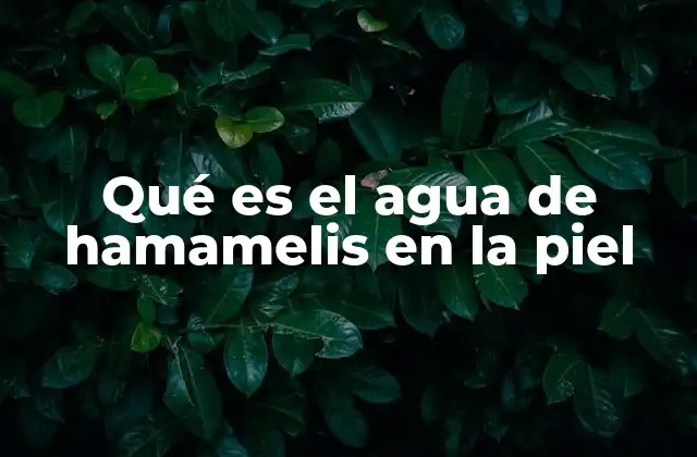 Qué es el Agua de Hamamelis en la Piel