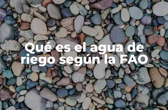 Qué es el Agua de Riego según la Fao
