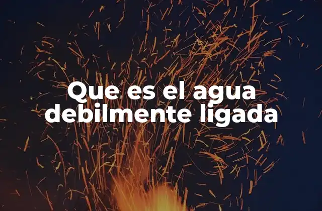Que es el Agua Debilmente Ligada 2 El agua en los sistemas sólidos y su clasificación