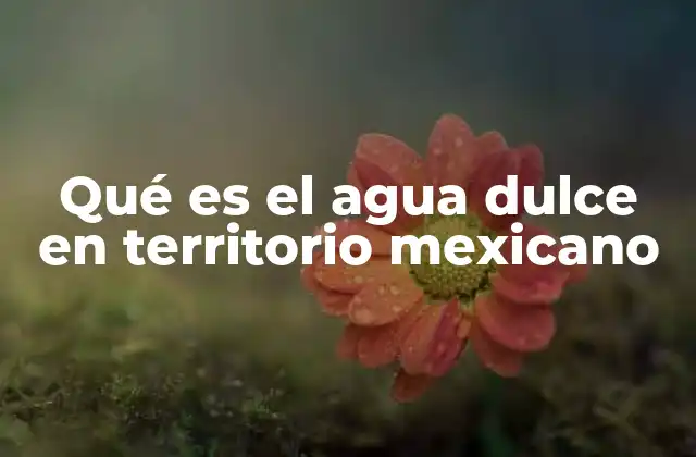 Qué es el Agua Dulce en Territorio Mexicano