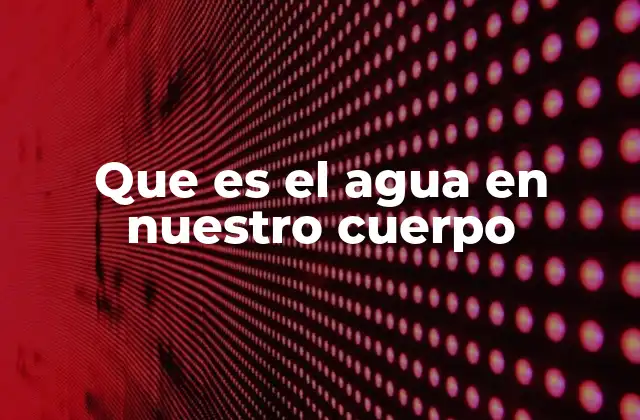 Que es el Agua en Nuestro Cuerpo