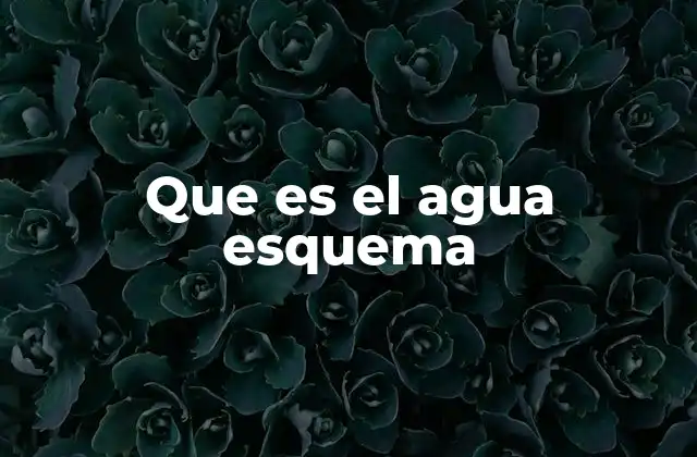 Que es el Agua Esquema