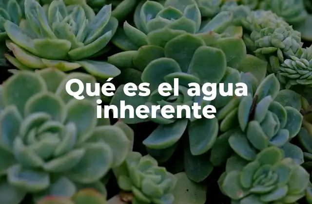 Qué es el Agua Inherente