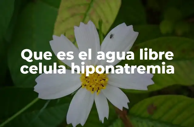 Que es el Agua Libre Celula Hiponatremia