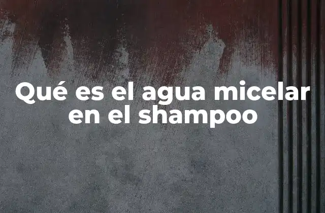 Qué es el Agua Micelar en el Shampoo