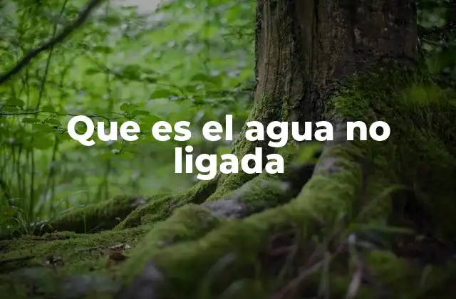 Que es el Agua No Ligada